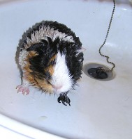 /album/morca/morca-jpg/